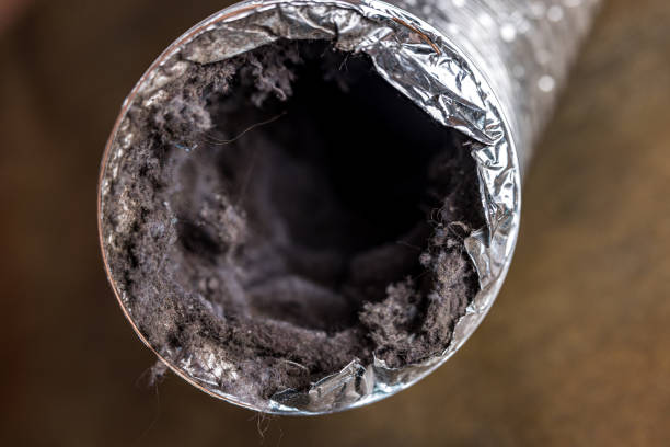 Best Affordable Duct Cleaning Services  in Surrey, ND