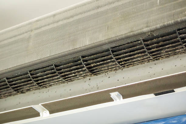 Best Affordable Air Duct Cleaning  in Surrey, ND