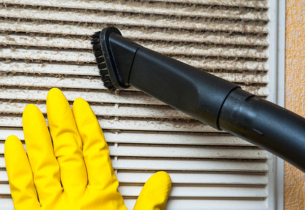 Best Home Air Vent Cleaning  in Surrey, ND